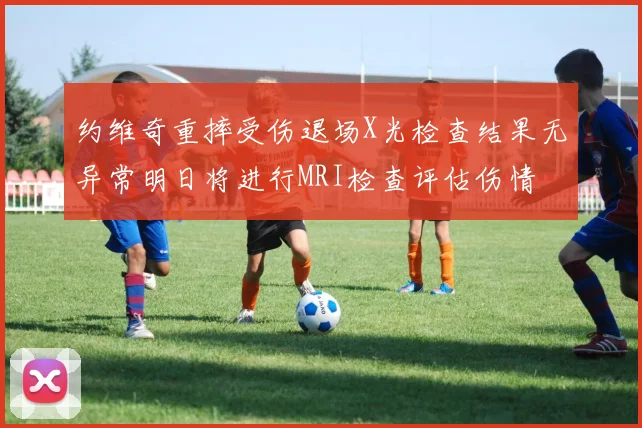 约维奇重摔受伤退场X光检查结果无异常明日将进行MRI检查评估伤情