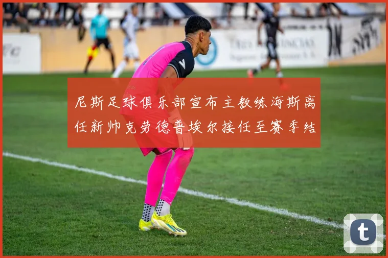 尼斯足球俱乐部宣布主教练海斯离任新帅克劳德普埃尔接任至赛季结束