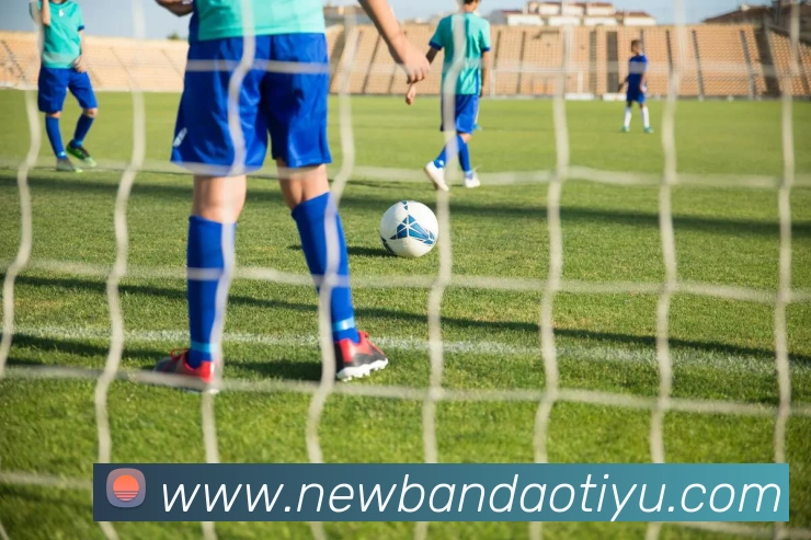 App Interface Preview