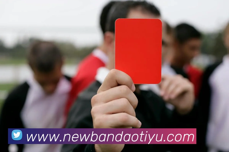 半岛体育APP 封面图